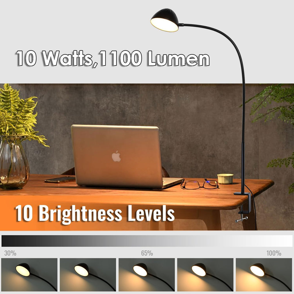 10W 31 Inch Flexible Gooseneck Clamp Desk Lamp