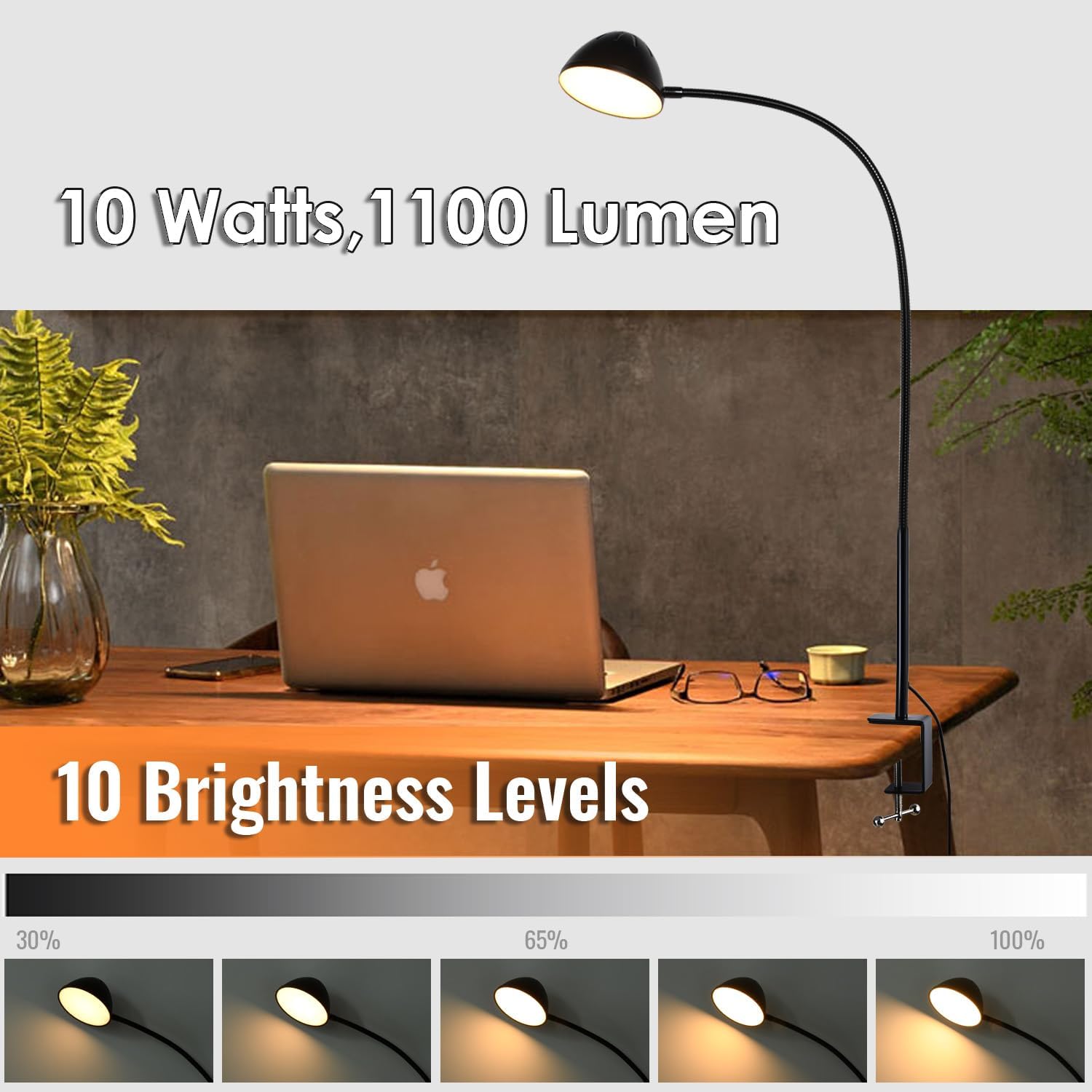 10W 31 Inch Flexible Gooseneck Clamp Desk Lamp